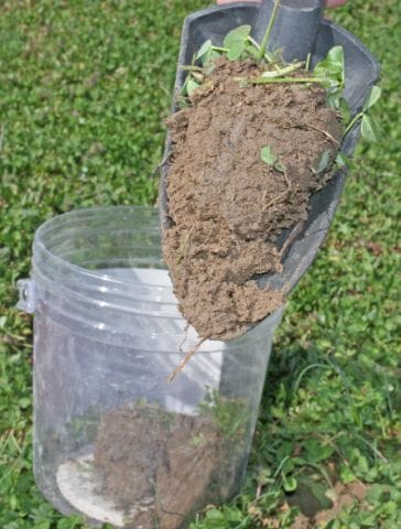 Before you can enhace your wildlife and deer quality with food plots, you should enhance the quality of your soil. Follow the exact directions on your soil test kit in order to get the most accurate results and recommendations.