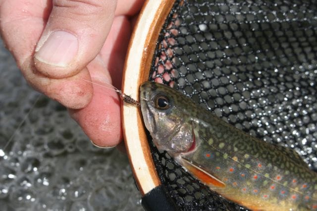 Watching a trout rise on a dry fly is what it's all about for many fly anglers. Often, trout don't want to feed on the surface, or even in the middle of the water column. That's when a bead-head nymph is the way to go.