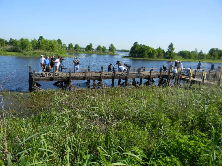 1Volunteers_Sheldon Lake State Park bridge refurbishing project