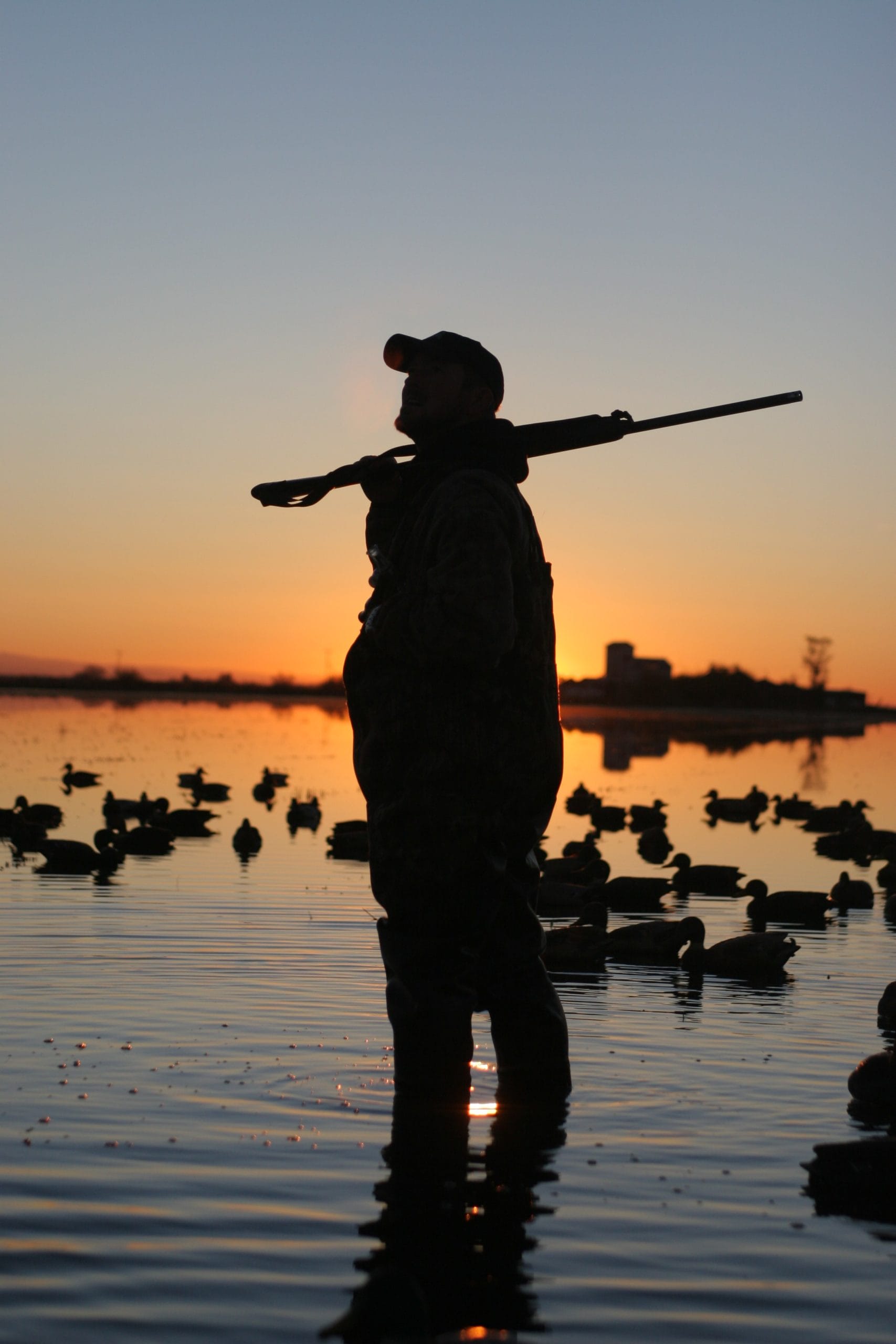 Despite dry conditions in much of the country, the region known as the duck factory saw abundant moisture. This is shaping up to be a banner year for waterfowl—as long as you can find a puddle deep enough to float a decoy.