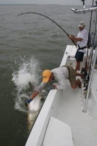 There's a ton of fight in a 100-pound plus tarpon.