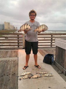 Sheepshead are a popular marine pier angler target. They are fun to catch and great on a dinner plate, too.