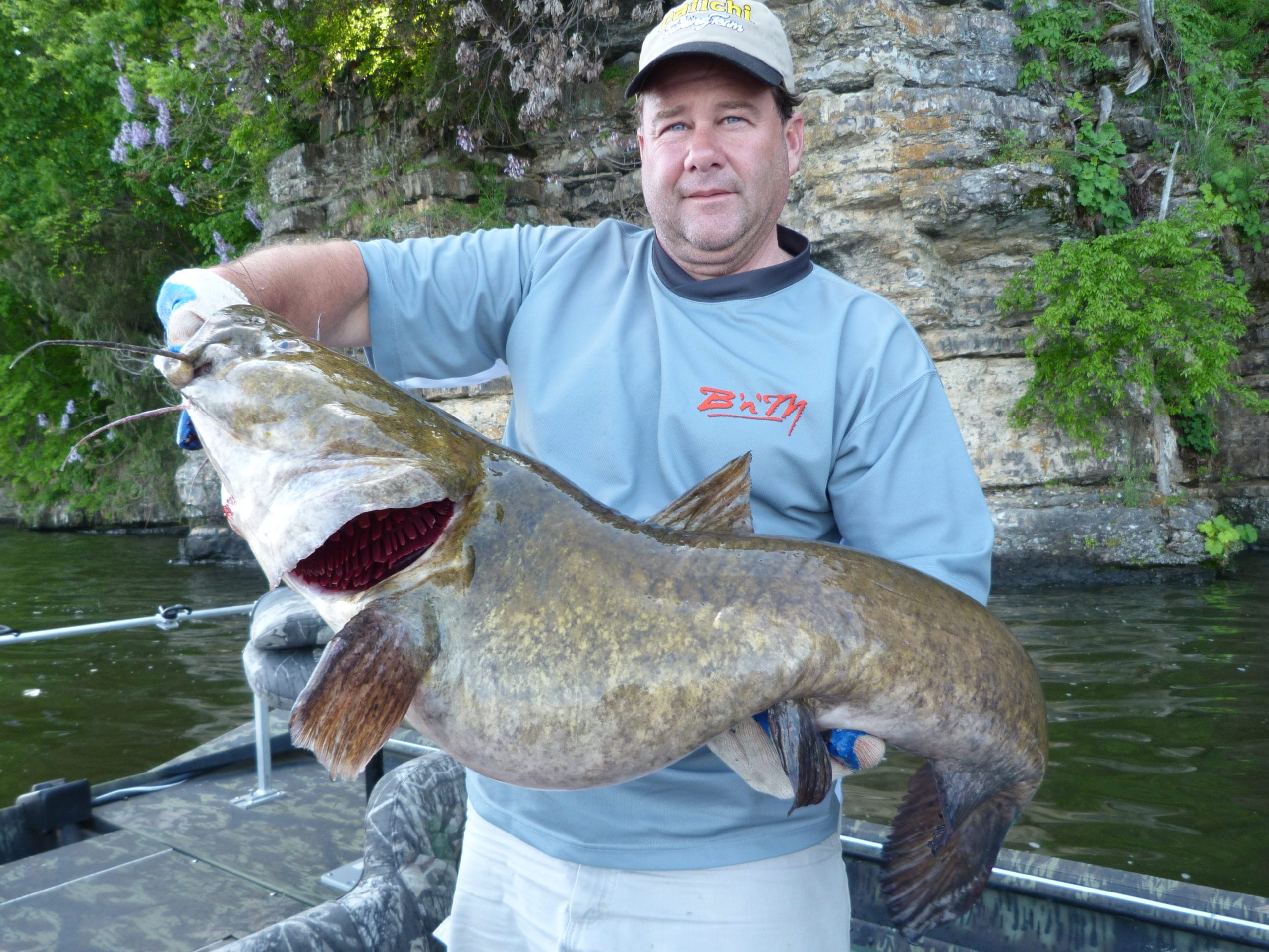 Catfish get very big! Here's guide Brian Barton with a monster catfish from the Tennessee River in Alabama. 