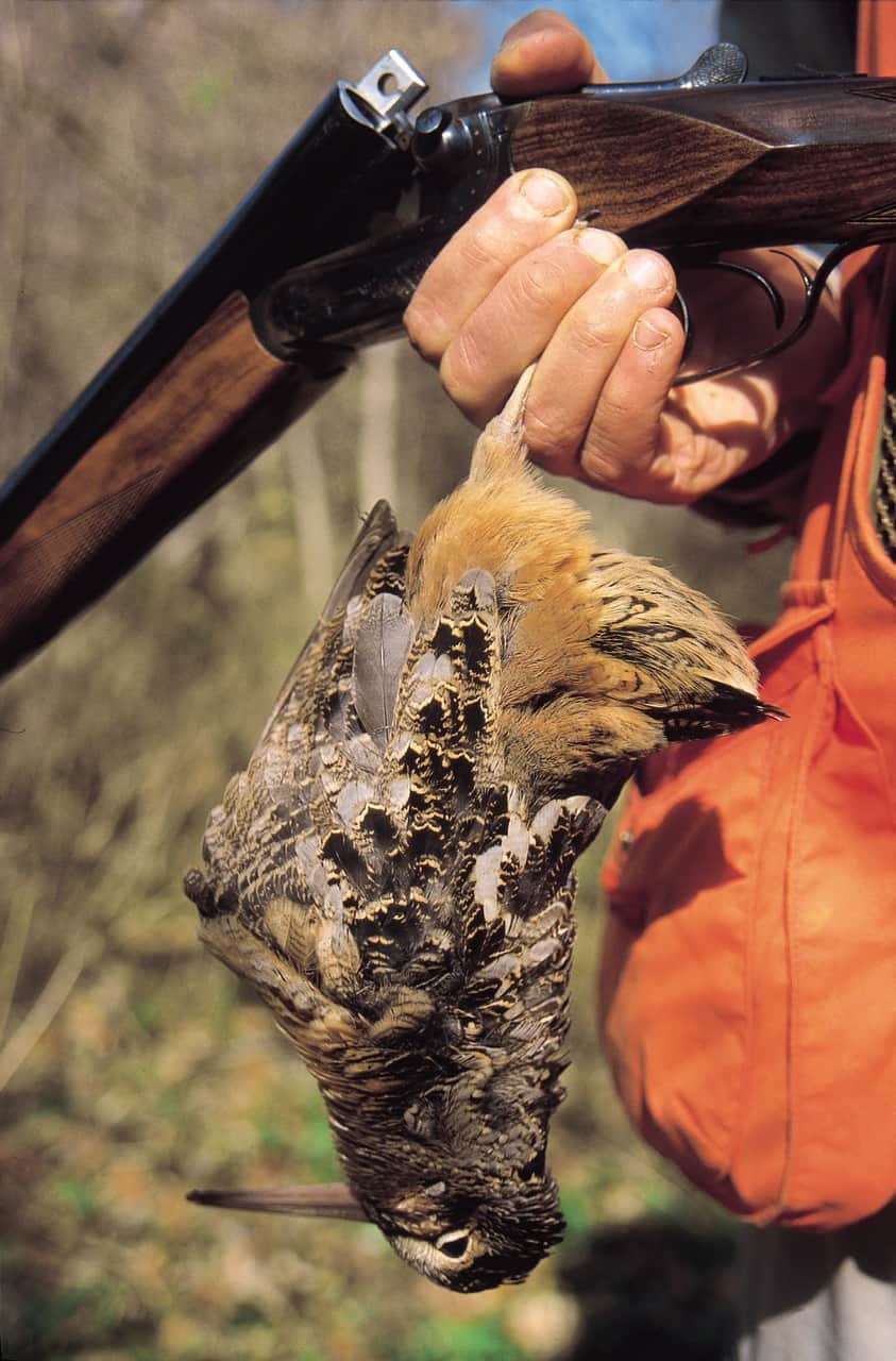 North Dakota Should be on Your Duck Hunting Bucket List