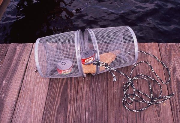 Cat food in a wire basket or mess bag and tethered to a dock is a sure-fire bet for plenty of panfish action.
