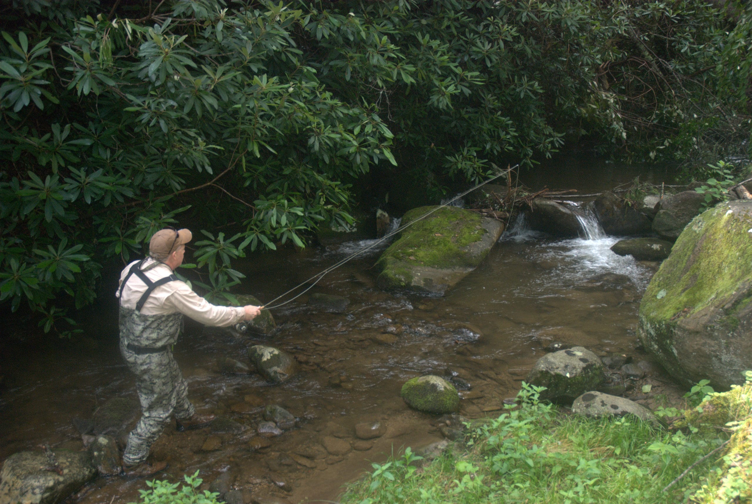 Anglers fishing the Smoky Mountains often have to contend with tight cover.