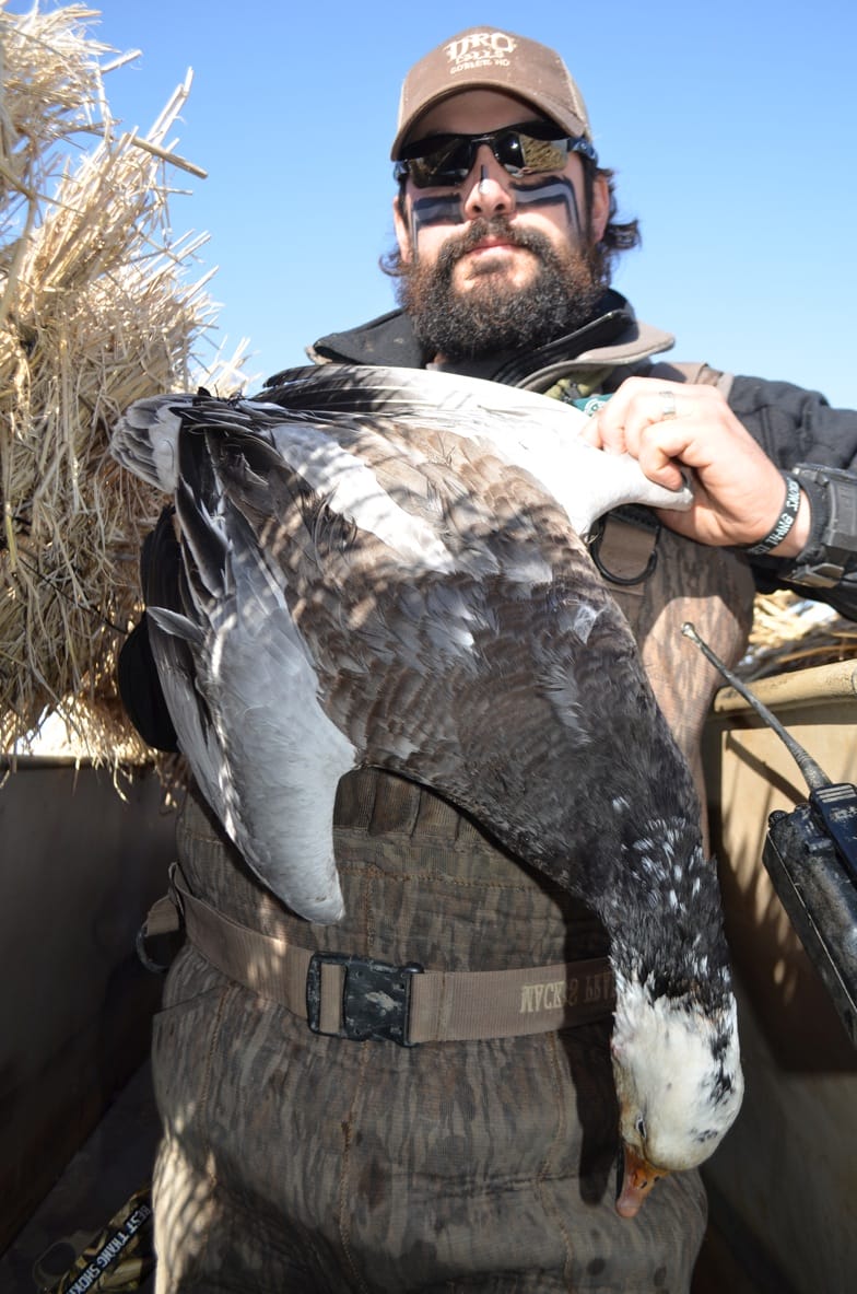 Seemingly endless flocks of snow geese can cover fields and darken the skies, but killing them is not easy. Guides like James Driskell of Dirty Rice Outfitters specialize in massive decoy spreads and hunting techniques for snow geese.