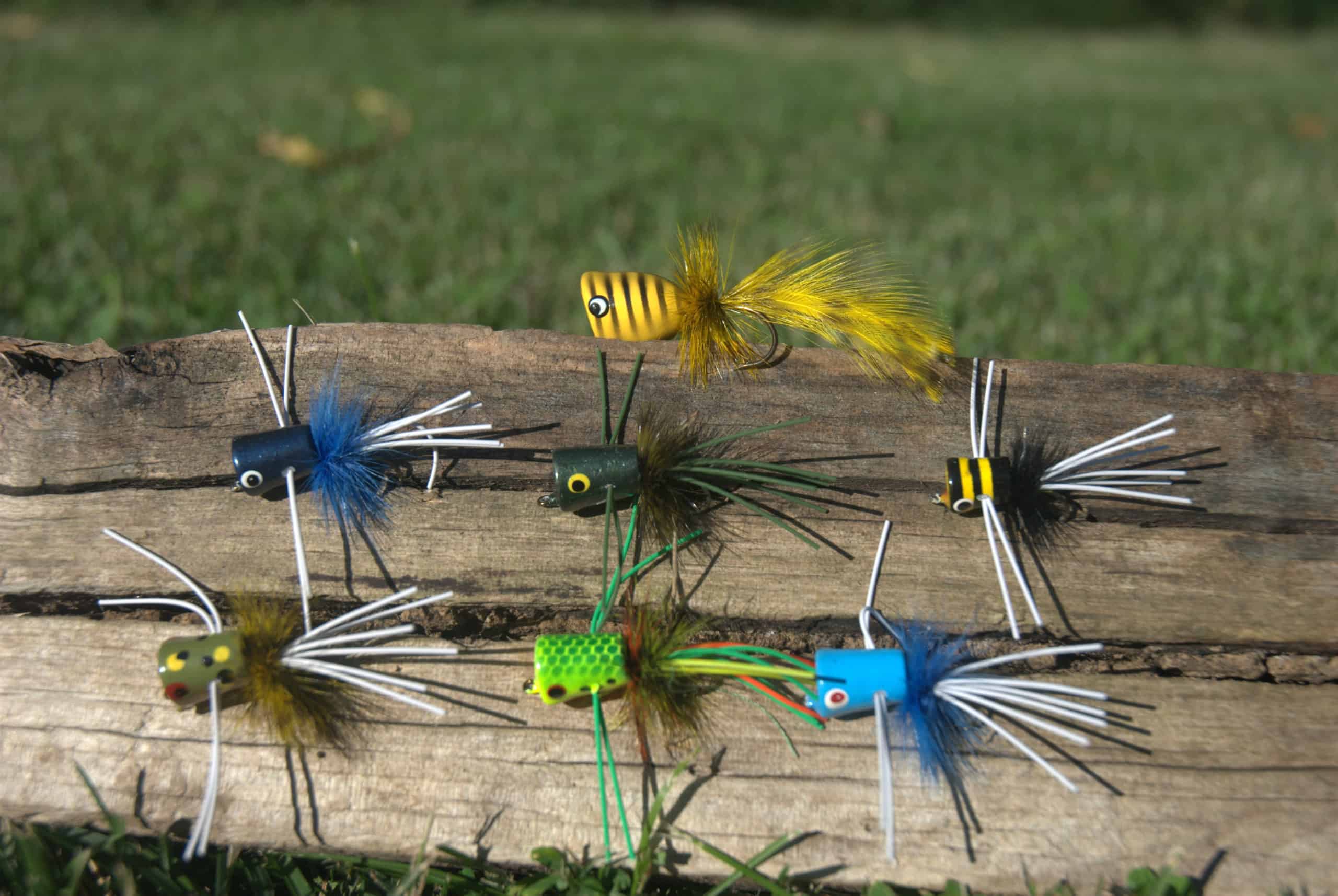 Popping bugs come in a variety of shapes and sizes and are fished all over the country.