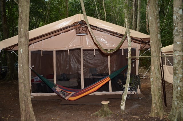 There's no hunt camp like those in the Yucatan, where howler monkeys and toucans provide the evening entertainment.   