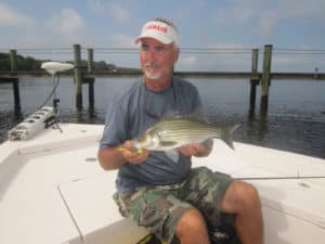 Florida angler Mike Hayes shows that even striped bass can be caught around good docks.