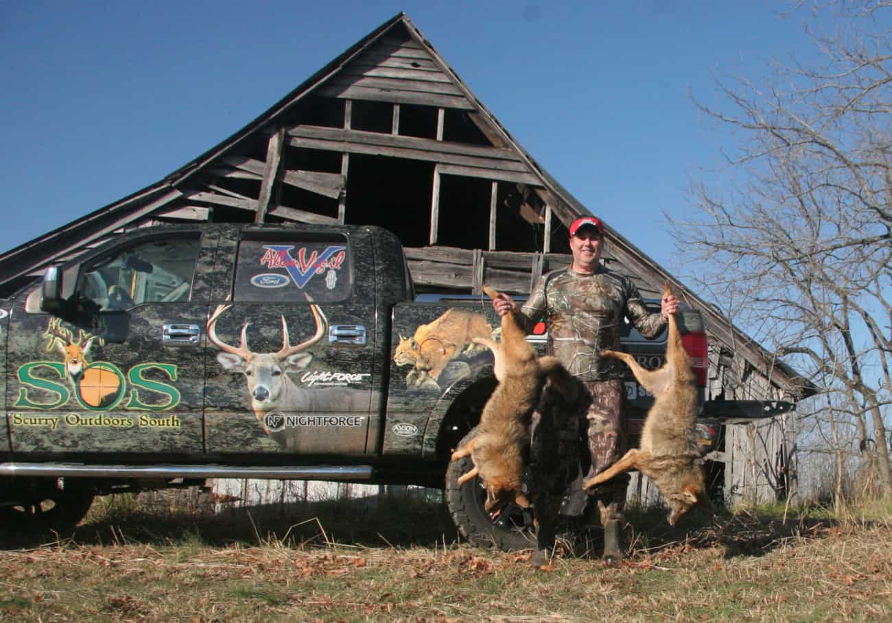 Jeff Scurry with a pair of big coyotes from the southeast, where impacts on deer numbers by coyotes are a growing concern.
