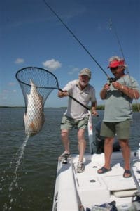 Hard-fighting red drum are caught throughout the coastal South during autumn.