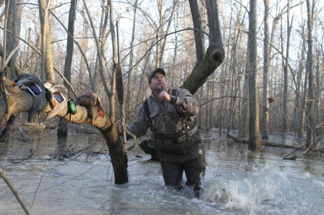 Shaking a leg to move the water can be very effective at attracting the attention of wary ducks when you're hunting in the timber.