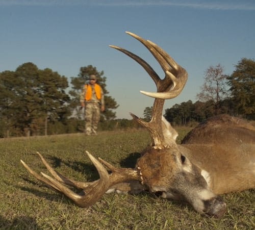 Slip-hunting the edge of a food plot of ag field is a good way to see a late-season buck 