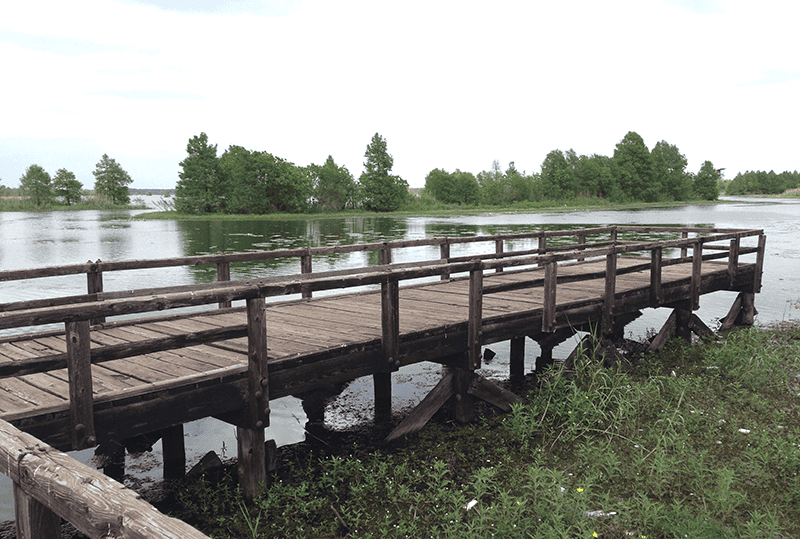 Lake-Sheldon_Fishing-Pier-2