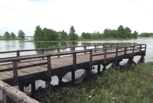 This fishing pier at Lake Sheldon State Park will be good as new Saturday, thanks to hands-on volunteer efforts this Saturday to refurbish the bridge, in conjunction with the Union Sportsmen’s Alliance’s ‘Work Boots on the Ground’ program. 
