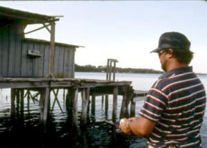 Old dilapidated docks are often best for anglers using live shrimp in tidewater areas.