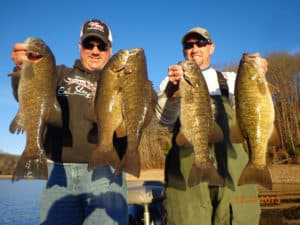 This region produces not just big smallmouth or great numbers during the winter, it produces both! This five-bass limit of smallmouths weighed more than 22 pounds.