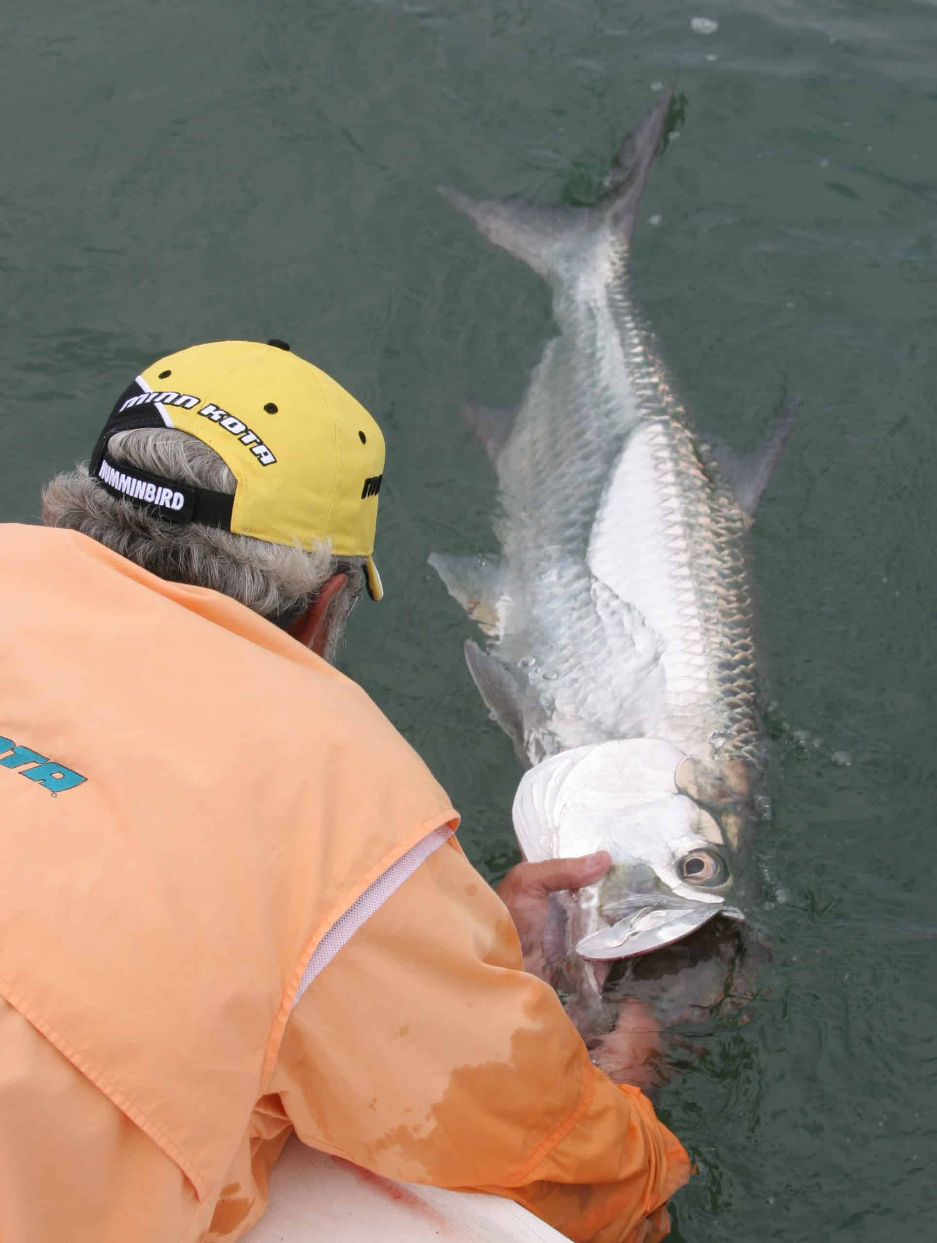 Big tarpon are prime targets of anglers who fish Charlotte Harbor, Florida in Spring.