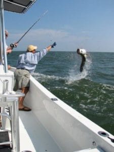Tarpon are amazingly strong and leap with the best of game fish. To hook and battle a tarpon should be on every angler's bucket list.