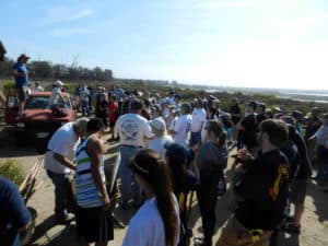 Union volunteers worked alongside community adults and youth to refurbish wetlands at Bolsa Chica Ecological Preserve.