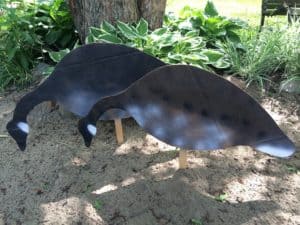 Make your own goose silhouette decoys from cardboard boxes and spray paint. They're inexpensive and work great in the field.  