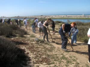USA "Work Boots on the Ground" volunteers in Southern California, pulled weeds to remove invasive species, repaired wood and metal fencing and removed graffiti.