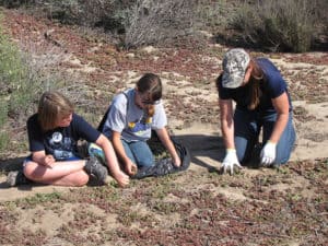 Youth volunteers worked tirelessly along the trail at Bolsa Chica Ecological Preserve.
