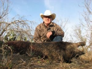 The author took this brush country Texas hog with one shot from his .30-06 just behind the ear.