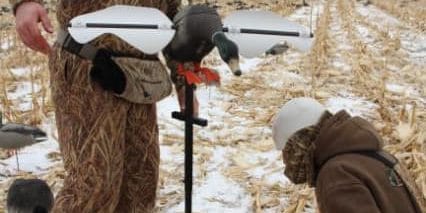 spinning wing decoy
