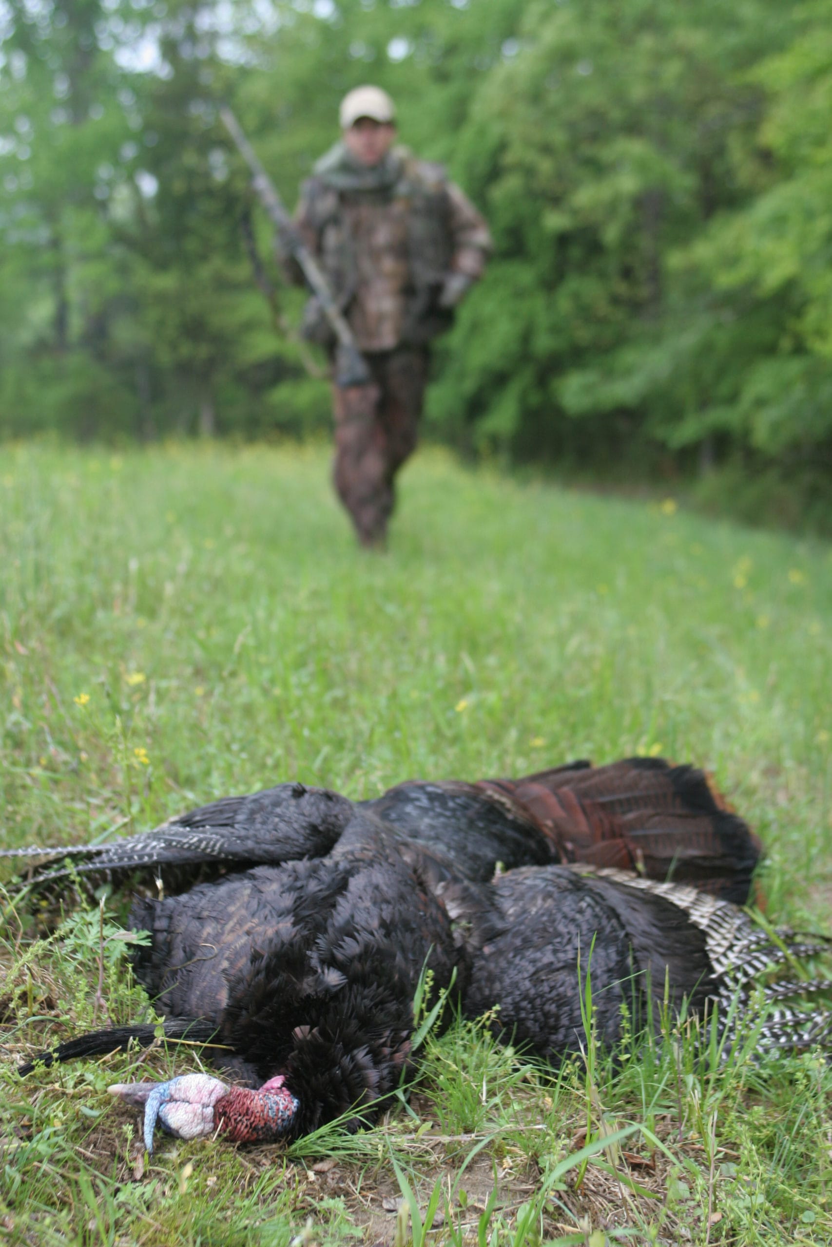 A gobbler doesn’t have to be gobbling every five minutes for a hunt to be successful. Be patient, and be prepared for a silent bird that may be making its way toward your calling.