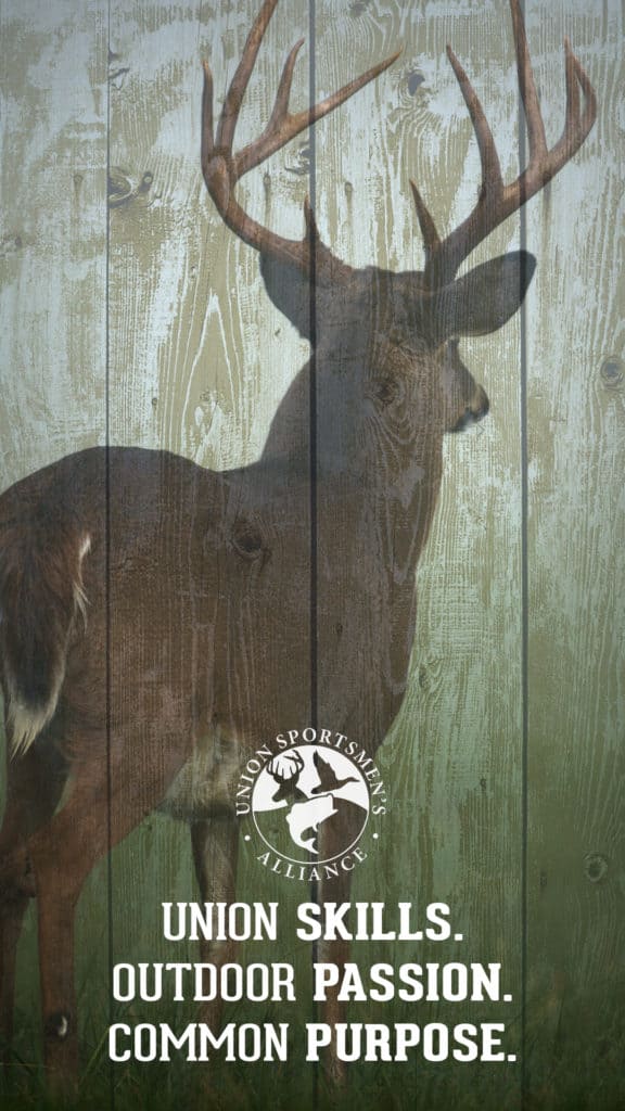 Deer Buck Phone Wall Paper USA