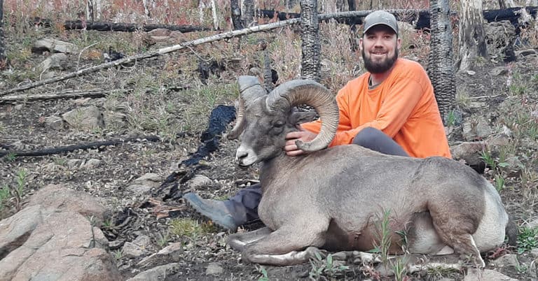 image_IBEW member with bighorn sheep