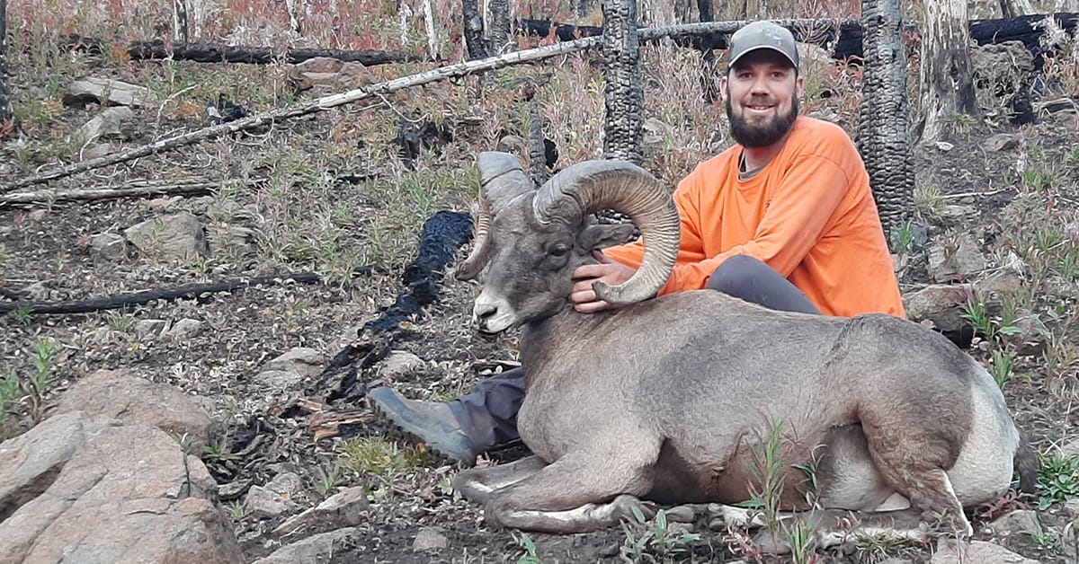 Michael_Bost_bighorn_sheep_1200x628 image_IBEW member with bighorn sheep