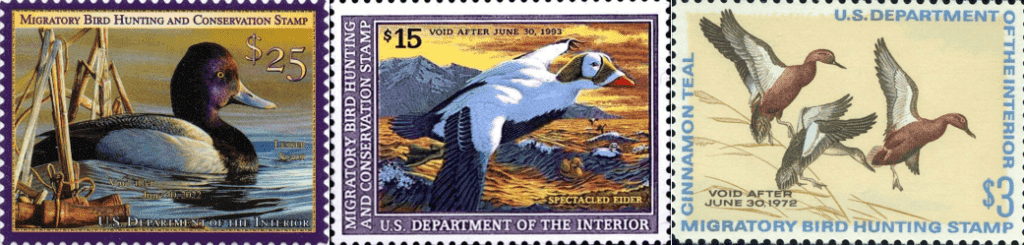 image_duck stamps