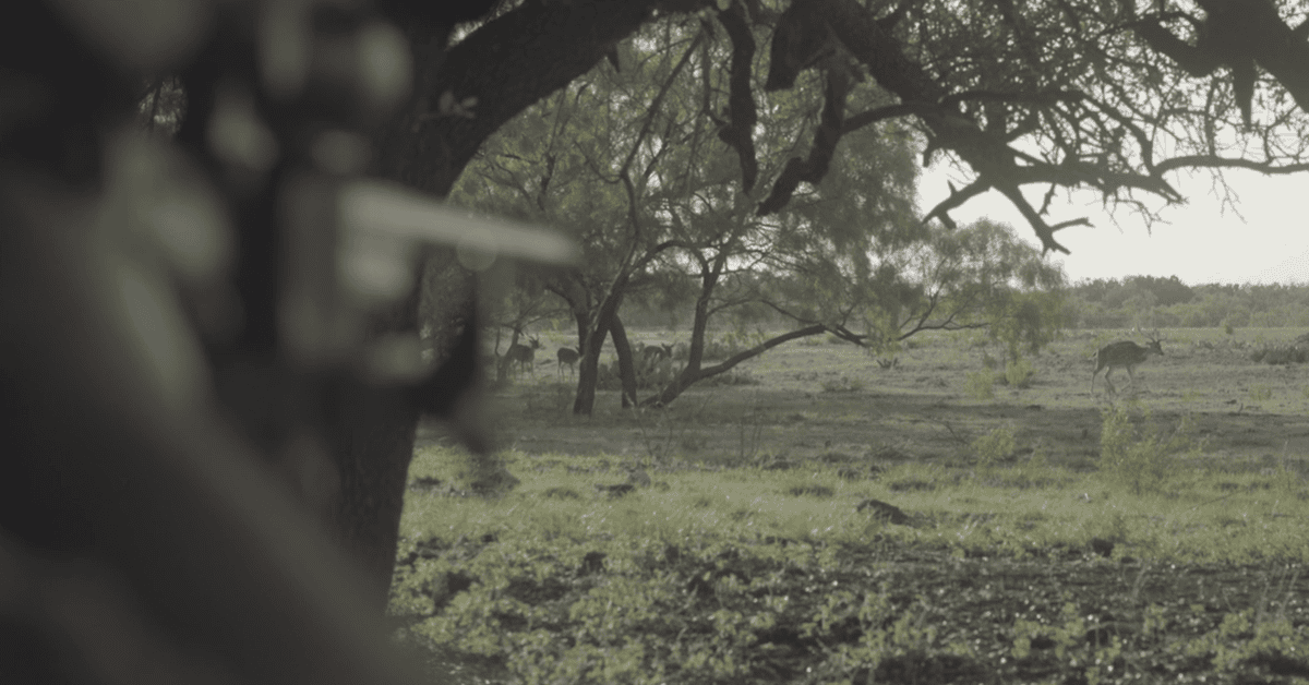 image: hunter aiming at axis deer