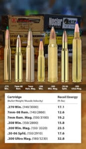 One Rifle to Rule Them All: Best Caliber to Hunt Big Game in North ...