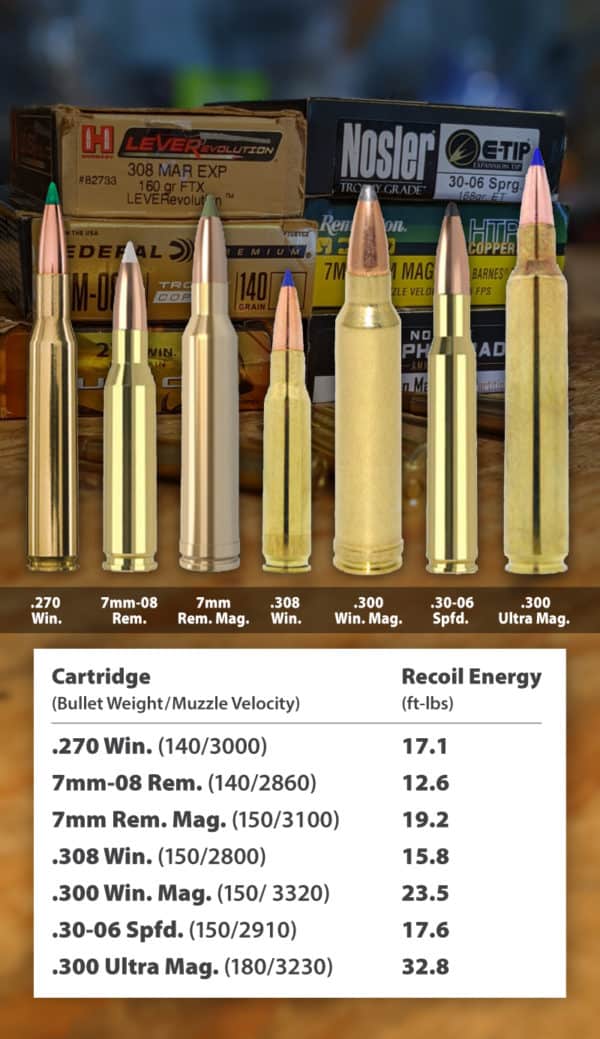 One Rifle to Rule Them All: Best Caliber to Hunt Big Game in North ...