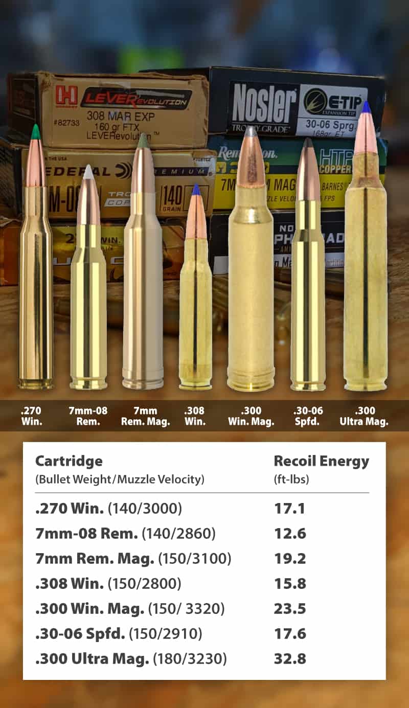 One Rifle To Rule Them All: Best Caliber To Hunt Big Game In North 