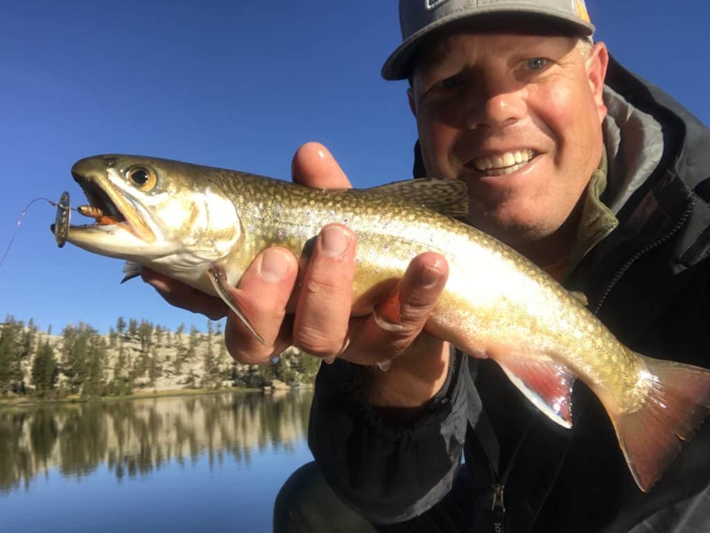 California Brook Trout Caught with Spinner