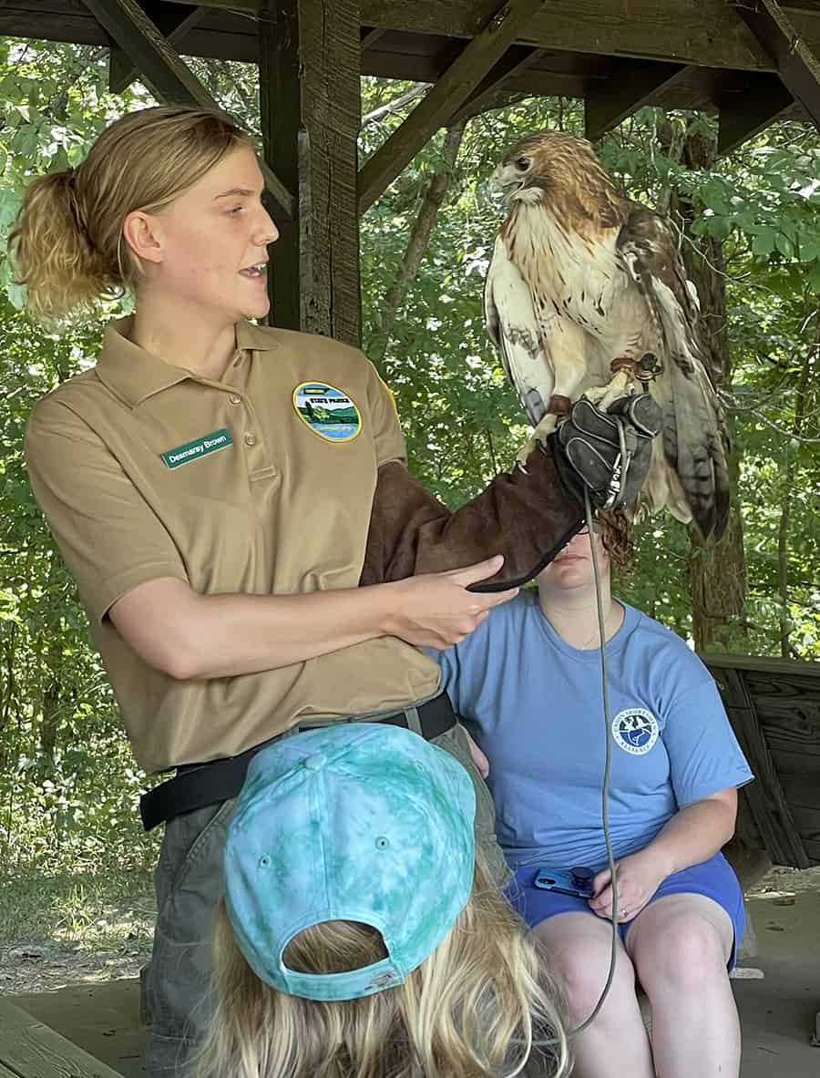 image: park staff holding hawk