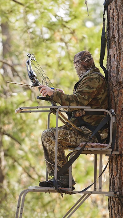 image: Hunter in treestand with safety harness