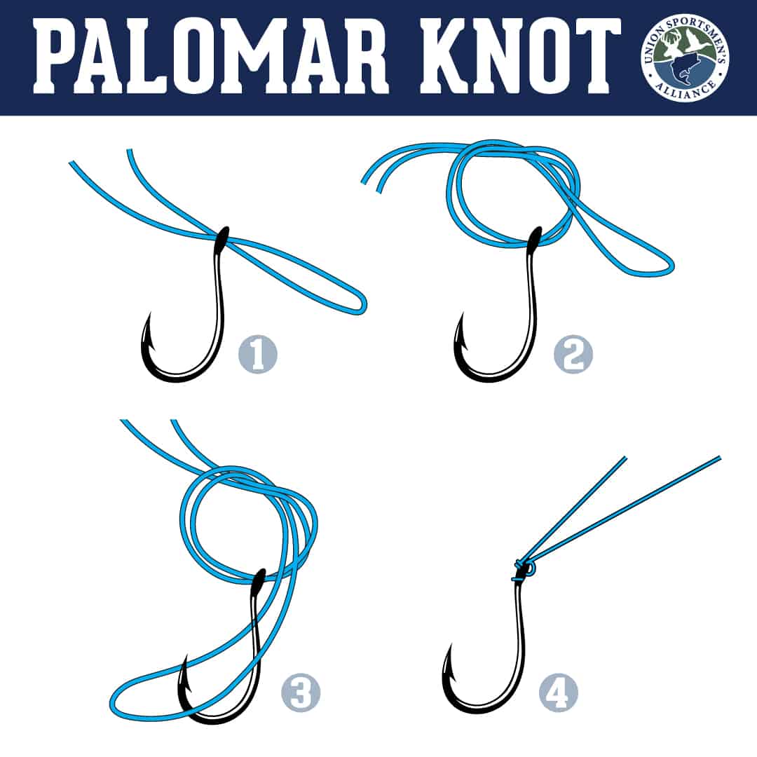 image: Palomar knot
