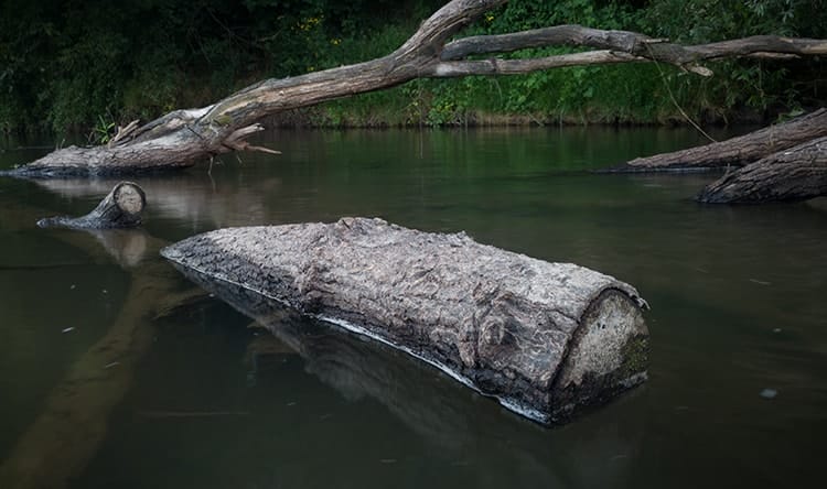 image_structure in a river.