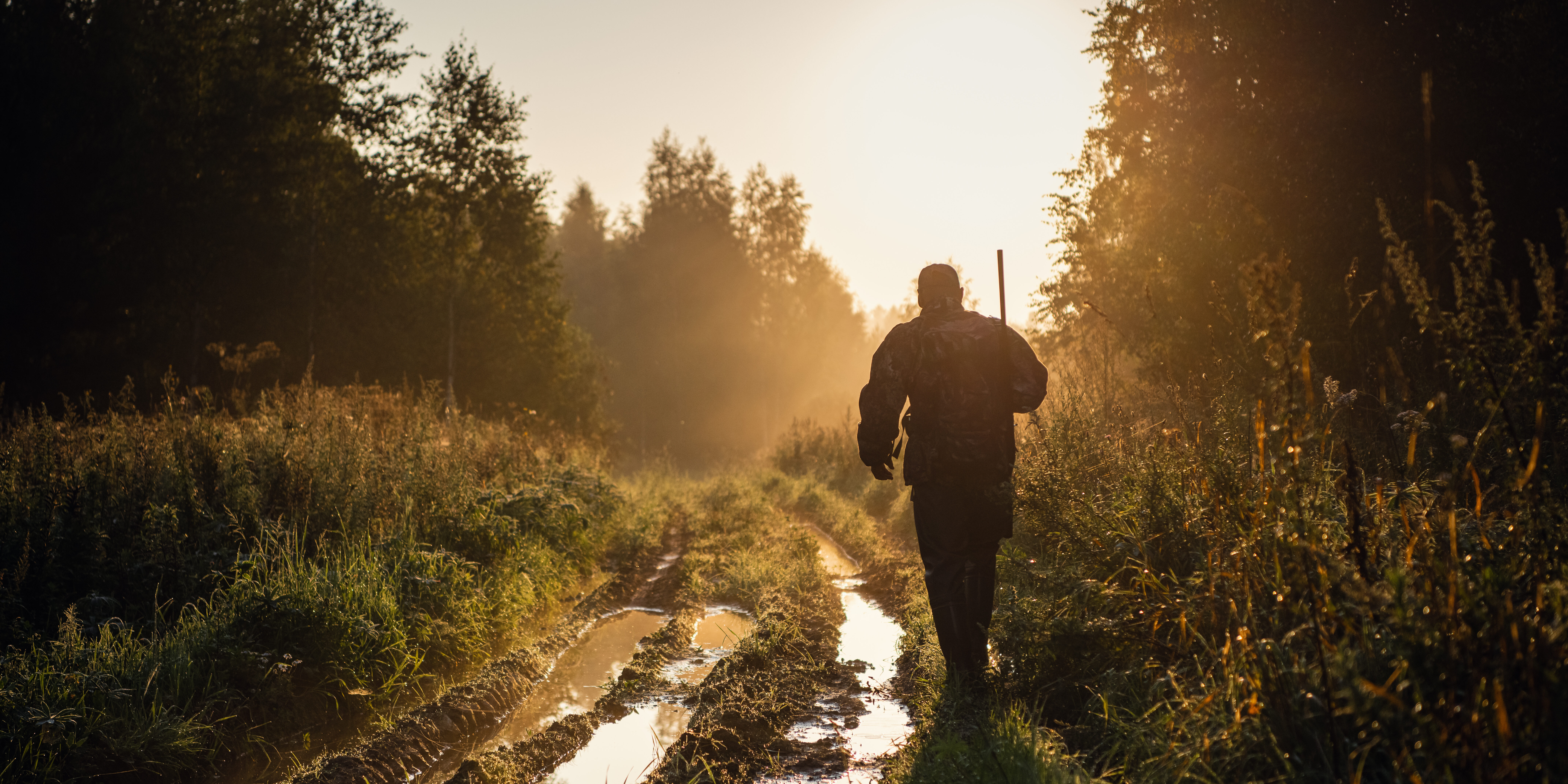 Hunting land