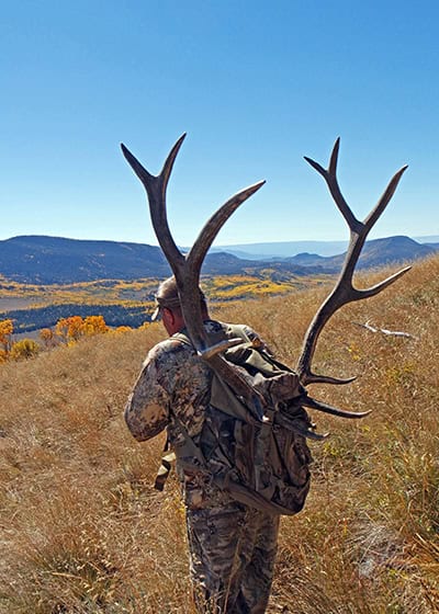 image: hunter packing out elk skull