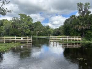Tick Island fence