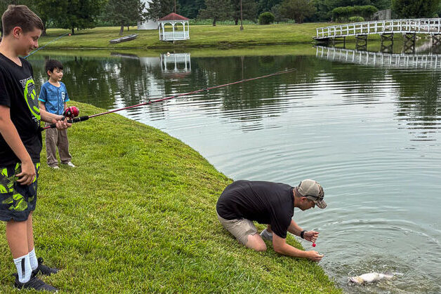 Volunteer snagging a fish